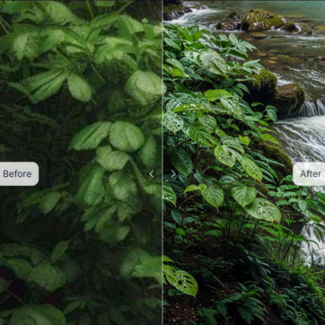 Zrzut ekranu 2025-01-22 191831